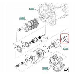 Spyruoklinis žiedas New Holland Fiat 5131232