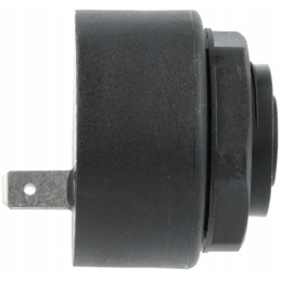 Įspėjamasis garsinis signalas