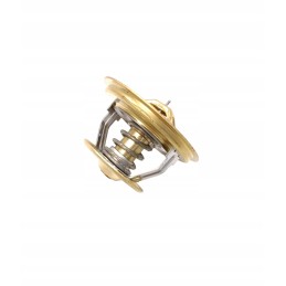 Hanomag 2872578 termostatas