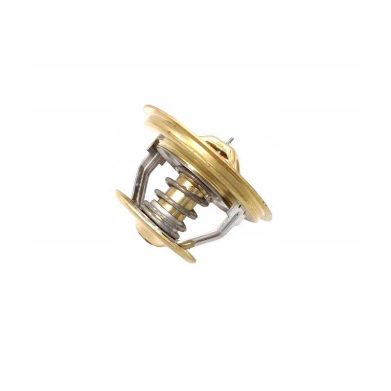 Hanomag 2872578 termostatas