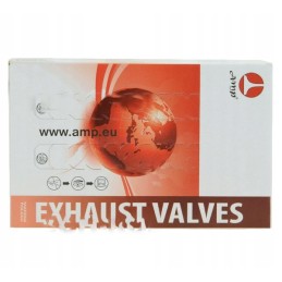 Išmetimo vožtuvas mf 3 pakuotėje 3 vnt. 31431761
