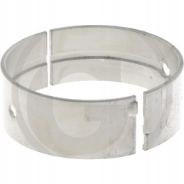 Pagrindinis guolis deutz fahr 38004063 granitas