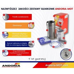 Variklio remonto komplektas 55110018 950116 ursus c