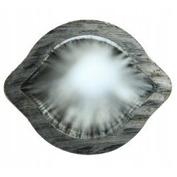 Vidinis citrininis vamzdis 39 5x49 5mm ilgis 108 3c