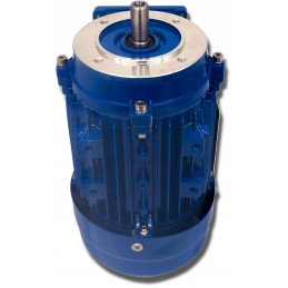 Elektros variklis 0 25kw 230 400v 1350rpm 3 fazis