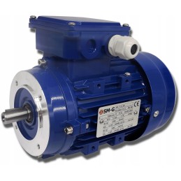 Elektros variklis 0 55kw 230 400v 1380rpm 3 fazis