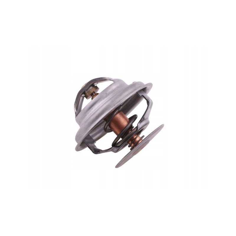 Termostatas c 385 6 cilindrų ursus 89005904u