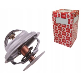 Termostatas c 385 6 cilindrų ursus 89005904u