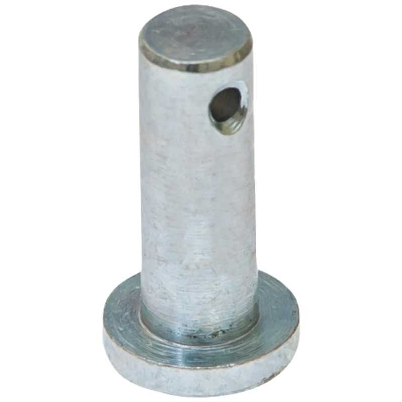 Įpurškimo siurblio strypo kaištis c 385 80009094