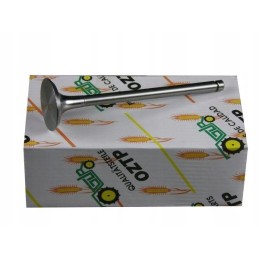 Variklio vožtuvo išmetimas 2137300 4153697 deutz rm 22