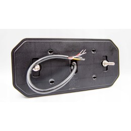 2x LED dinaminis kier neoninis kombinuotas galinis žibintas