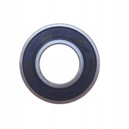 Guolis 6004 2rs flt