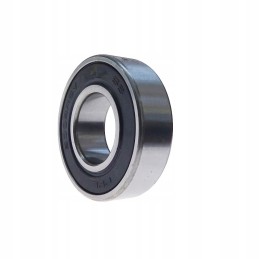 Guolis 6004 2rs flt