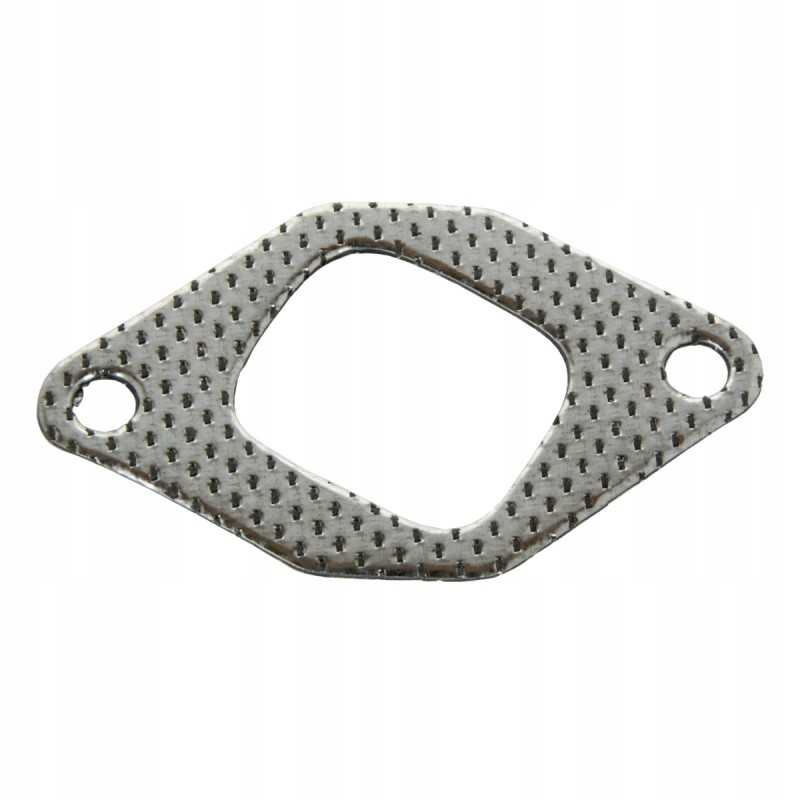 Išmetimo kolektoriaus tarpiklio korpusas 3132434r1