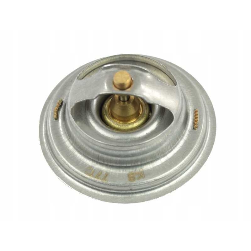 Termostatas c 385 seno bloko tipas 80005902 89005904