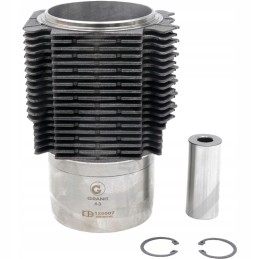 Variklio remonto komplektas 38018097 granitas