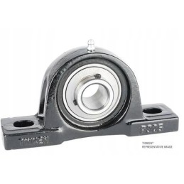 Guolis su UCP korpusu