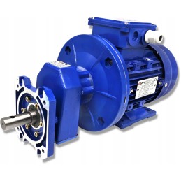 Elektrinio variklio pavarų dėžė konvejeriui