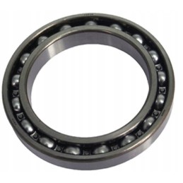 Varančiojo veleno guolis