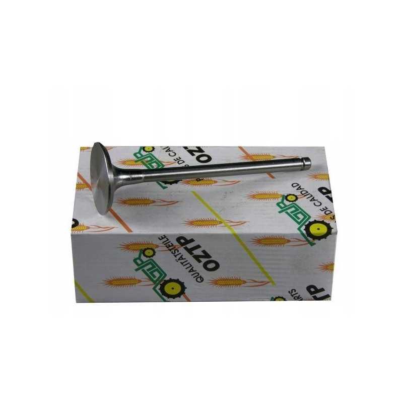 Siurbimo variklio vožtuvas 2137301 4153631 deutz rm 223