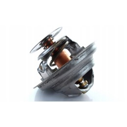 Termostatas landini massey ferguson 4224639m1 polmo