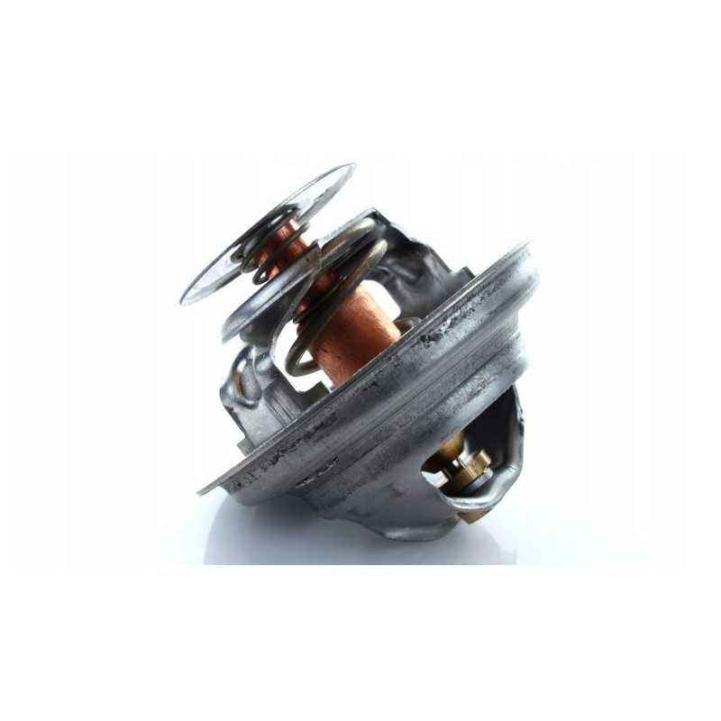 Termostatas landini massey ferguson 4224639m1 polmo
