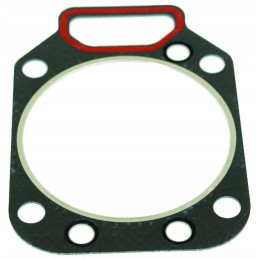 Tarpiklis ir variklis f385202210010