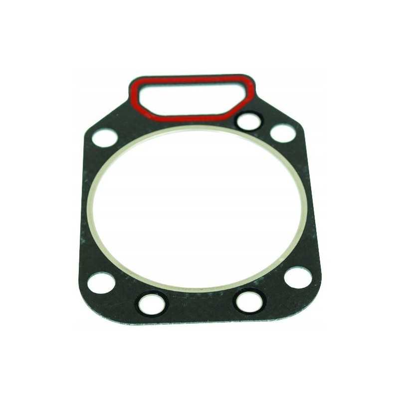 Tarpiklis ir variklis f385202210010