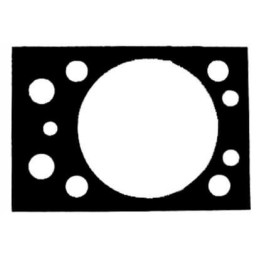 Variklio galvutės tarpinė tinka Zetor