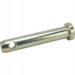 Standartinis kaištis 20x83 mm z322103kr