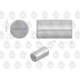 Mf3 reduktoriaus palydovinis kaištis, originalus ursus