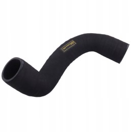 Apatinė radiatoriaus žarna Ford 81805637 Warynski