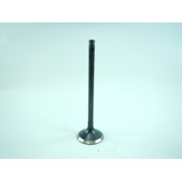 Išmetimo vožtuvas Fiat traktoriui 160 90 180 90 aso