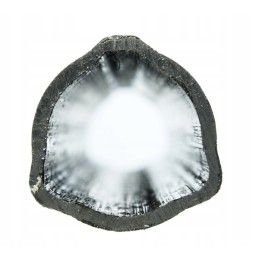 Išorinis trikampis vamzdis 43x3mm ilgis 67 2cm d