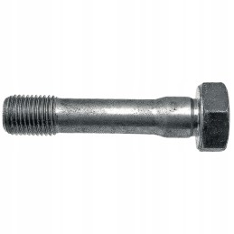 Švaistiklio varžtas fiat 38017791 granitas