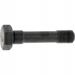 Švaistiklio varžtas fiat 38017791 granitas