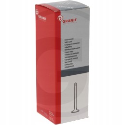 Siurbimo vožtuvo korpusas ih 38015516 granitas