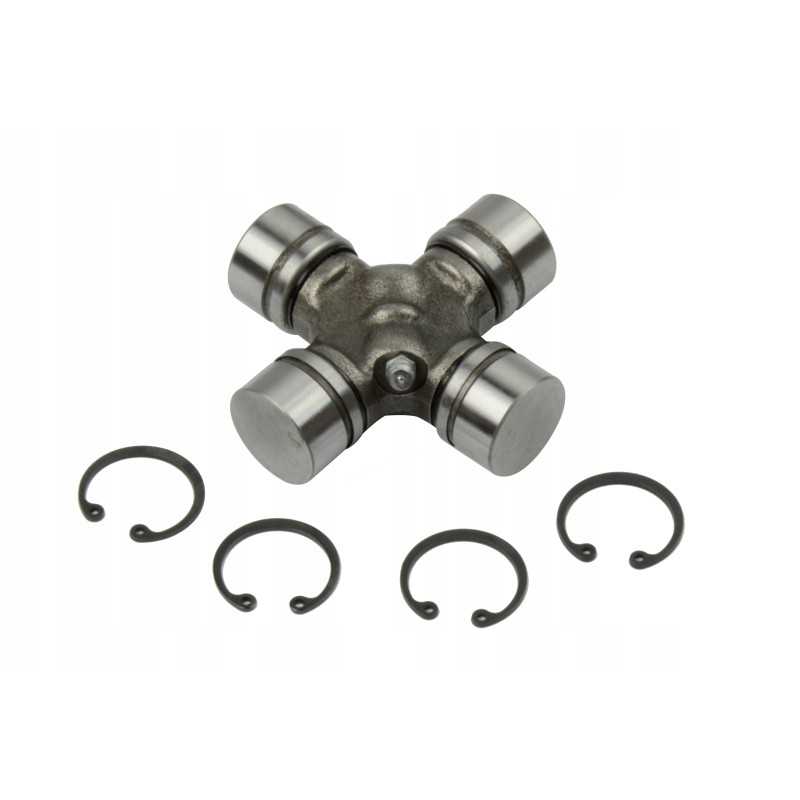 Lenkijos kryžiuočių riteris 27x81 8