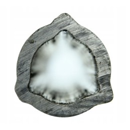 Vidinis trikampis vamzdis 26 5x3 5mm, ilgis 71 4c