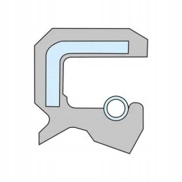 Alyvos sandariklis 75x100x10 tipo cc viton spyruoklė