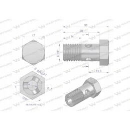 Colinis perpildymo kilpos varžtas g1 4 19 Warynski