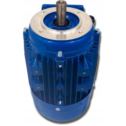 Elektros variklis 1 1kw 230 400v 1390rpm 3 fazis