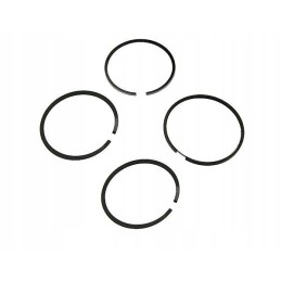 Stūmoklio žiedų rinkinys 1 stūmoklio C 385w varikliui