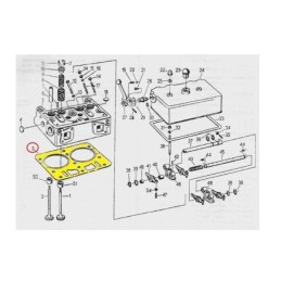 Dažyta galvutės tarpinė c 330 c 330m c 328