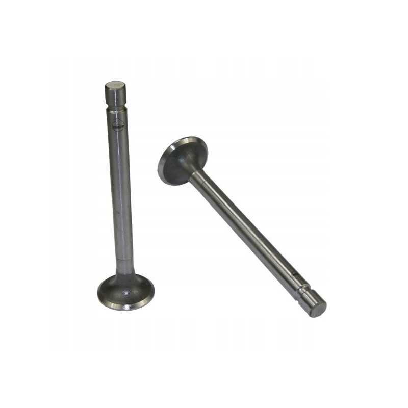 Išmetimo vožtuvas c 360 org 50505061u