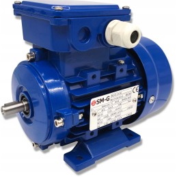 Elektros variklis 0 25kw 230 400v 1370rpm 3 fazis