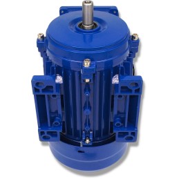 Elektros variklis 0 25kw 230 400v 1370rpm 3 fazis