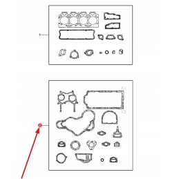 U5lb1159 variklio tarpiklių komplektas