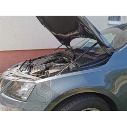 Dujinė spyruoklė langams krosno kr24628