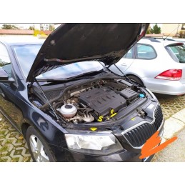 Dujinė spyruoklė langams krosno kr24628